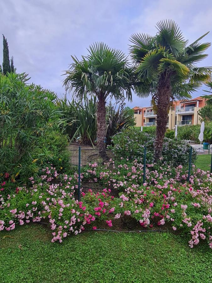 Appartamento Con Vista A Cavallino Venezia Cavallino-Treporti Exterior foto
